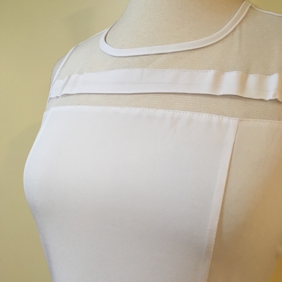 Sheer Mesh Stripes Fit and Flare Skater Dress White - Picture 6 of 11